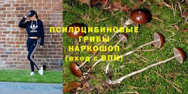 прущая мука Грязовец