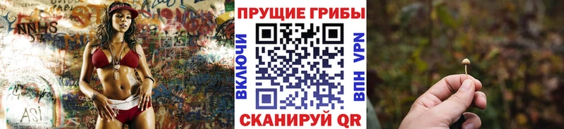 Псилоцибиновые грибы Psilocybe  Старый Крым 